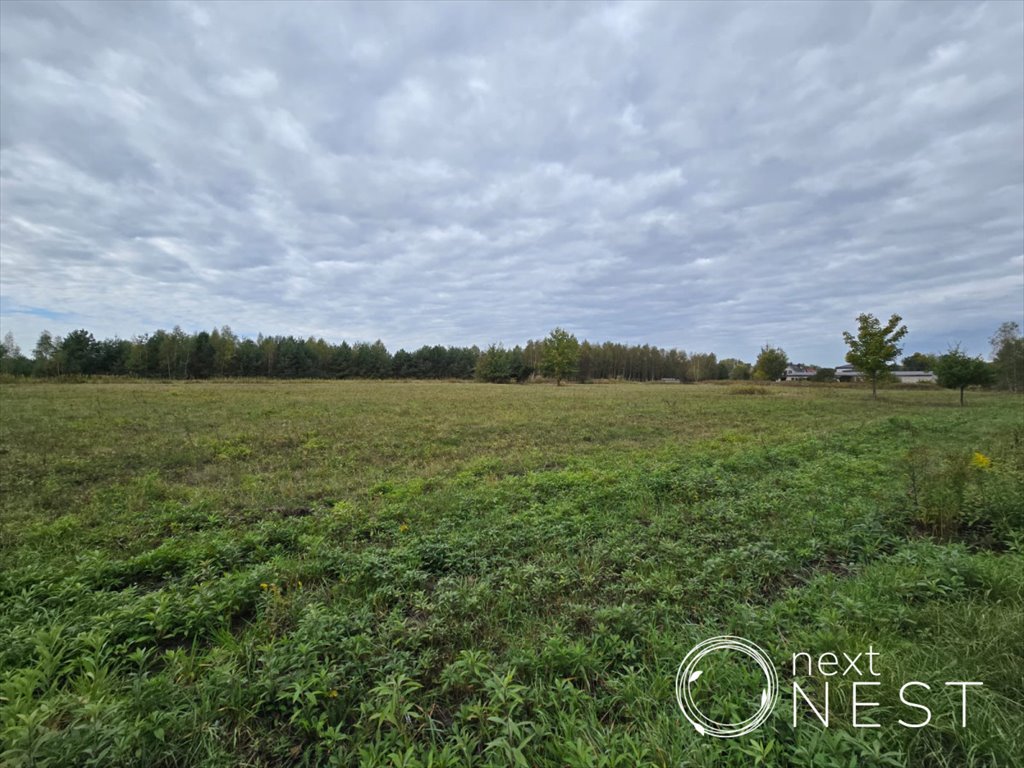 Działka budowlana na sprzedaż Jaroszowa Wola, Leśna  2 200m2 Foto 3