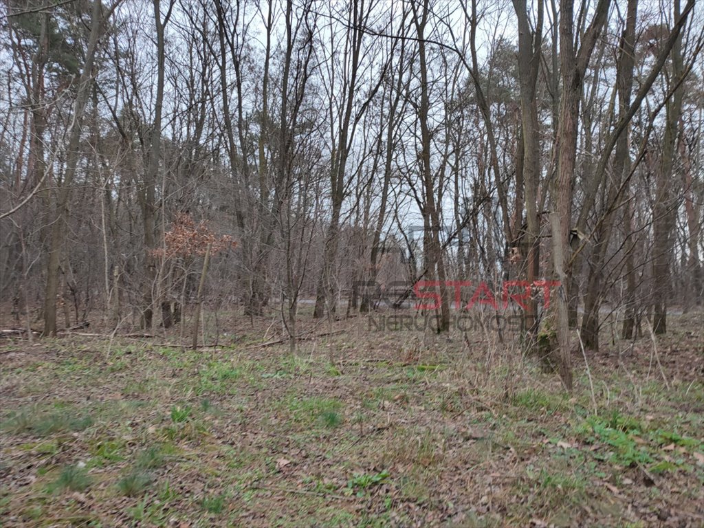 Działka budowlana na sprzedaż Książenice  1 550m2 Foto 5