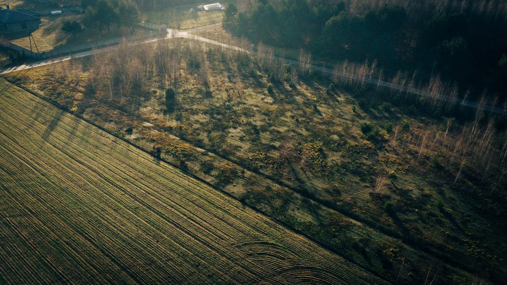 Działka budowlana na sprzedaż Konarzew  1 490m2 Foto 1