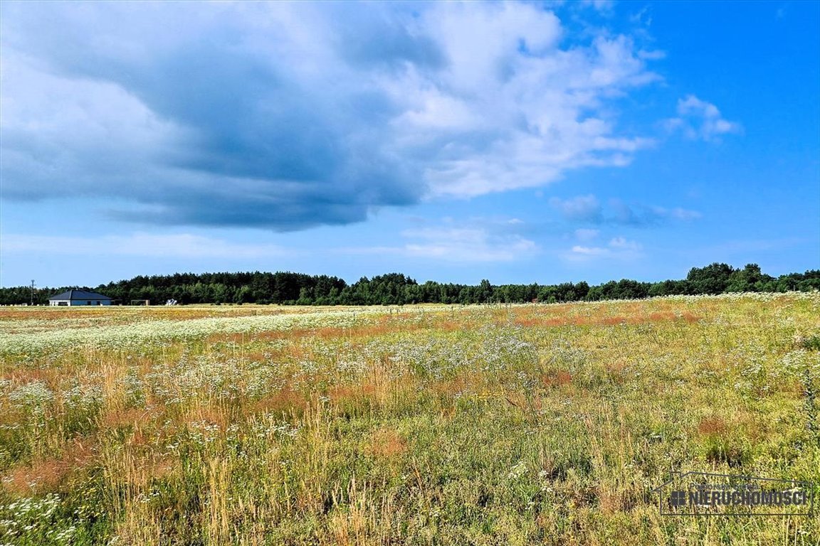 Działka budowlana na sprzedaż Dołgie  656m2 Foto 11