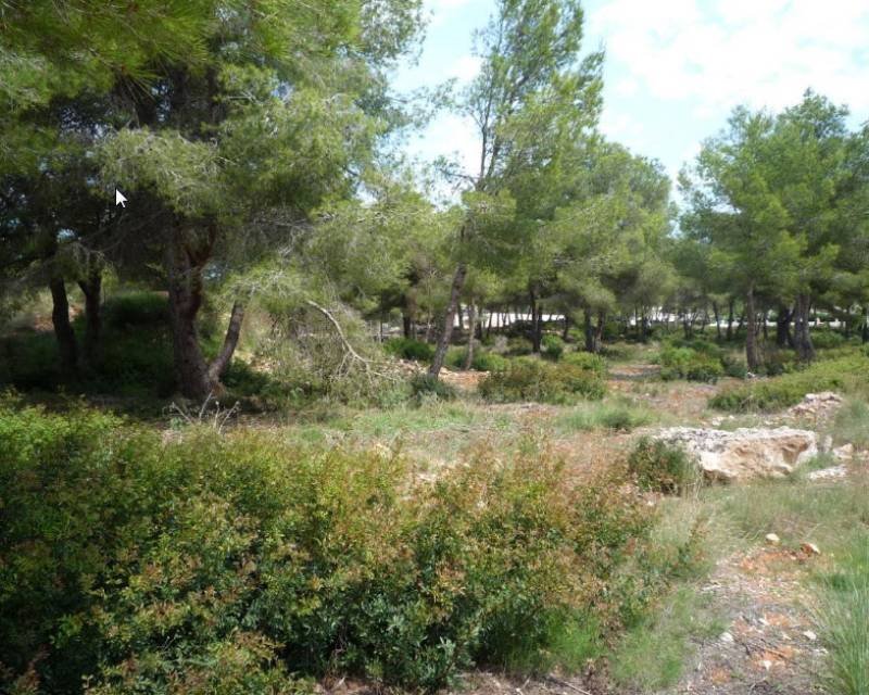 Działka budowlana na sprzedaż Hiszpania, Javea, Hiszpania, Javea  1 000m2 Foto 3