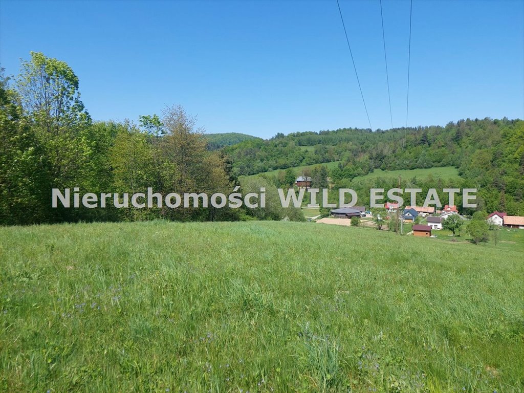 Działka rolna z widokiem, media, Natura 2000, 60 ar Solina, Górzanka  5 997m2 Foto 1