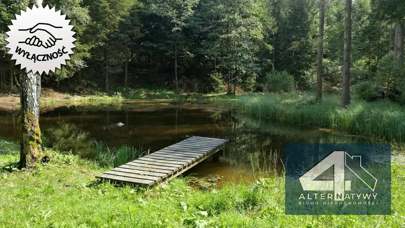 Lokal użytkowy na sprzedaż Busko- Zdrój, Stefana Batorego 12  2 000m2 Foto 8