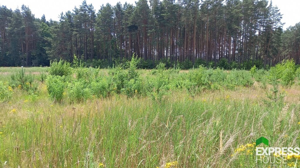 Działka budowlana na sprzedaż Niewodnica Korycka  824m2 Foto 3