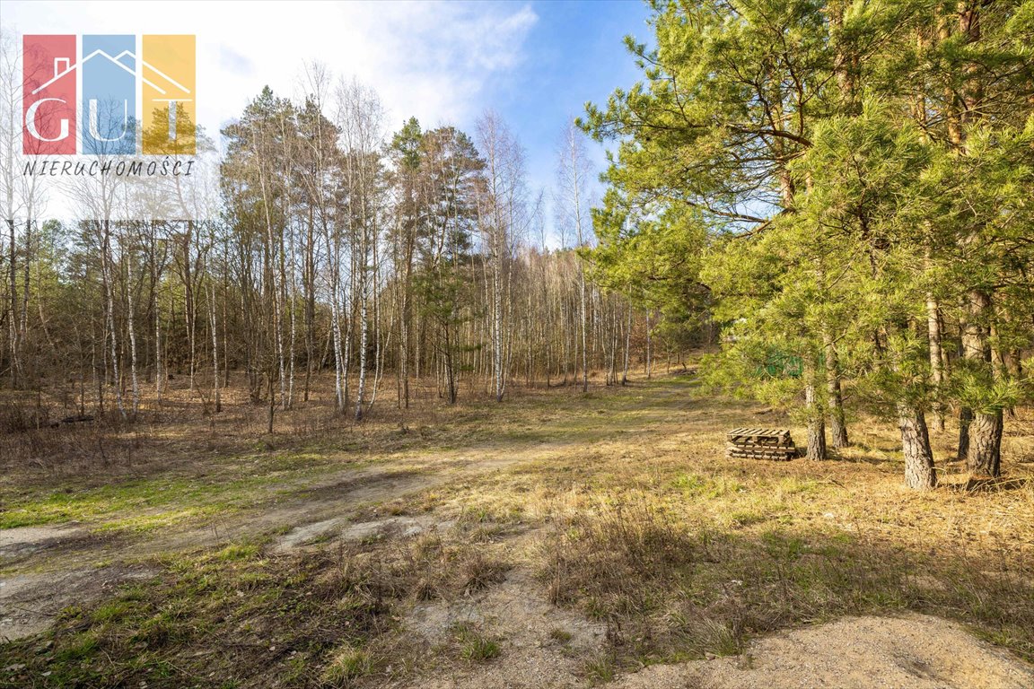 Działka budowlana na sprzedaż Mokiny  3 103m2 Foto 2