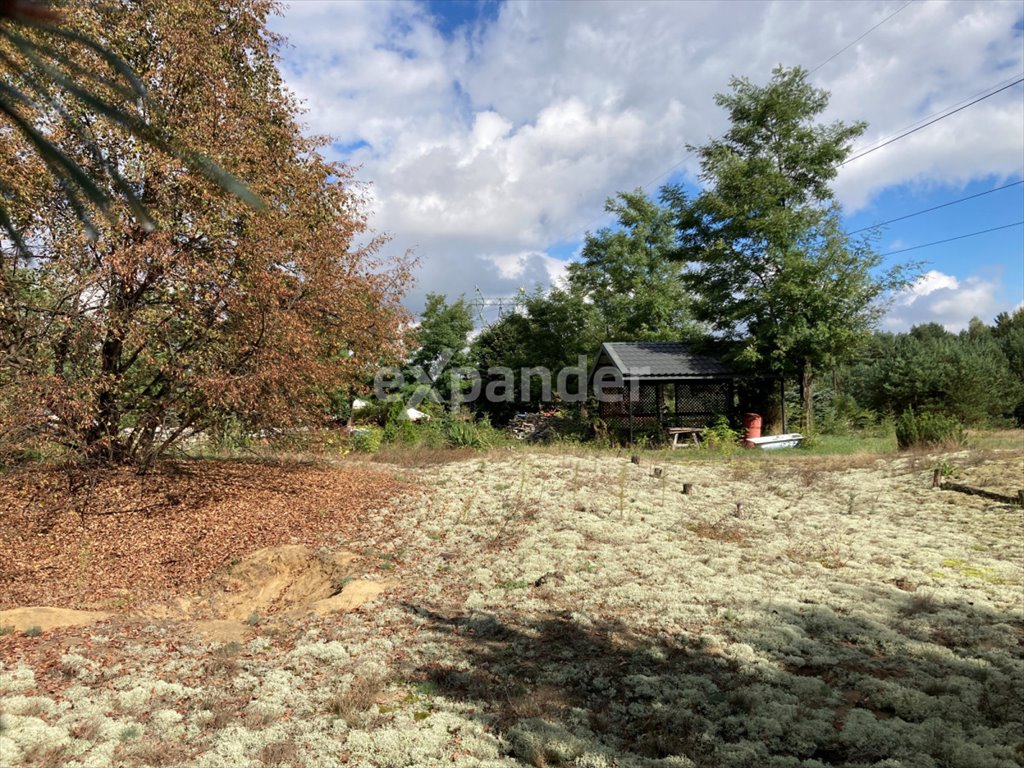 Działka budowlana na sprzedaż Skrajnica  9 125m2 Foto 1