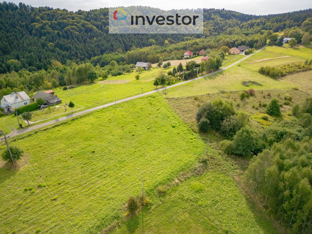 Działka budowlana na sprzedaż Cieszyna  1 914m2 Foto 5