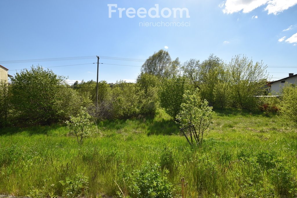 Działka inna na sprzedaż Bodzechów  10 500m2 Foto 2