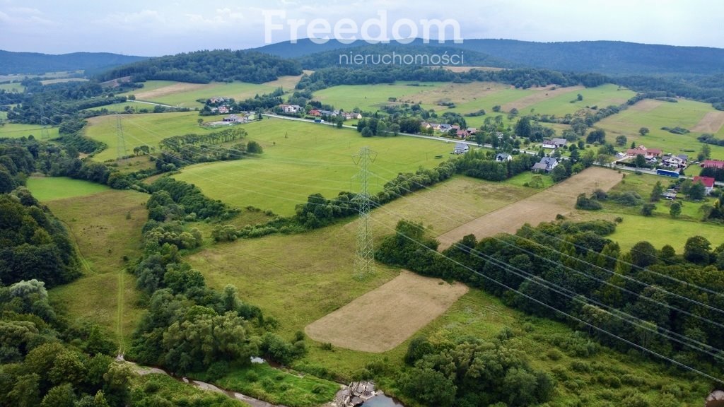 Działka rolna na sprzedaż Tylawa  19 300m2 Foto 2