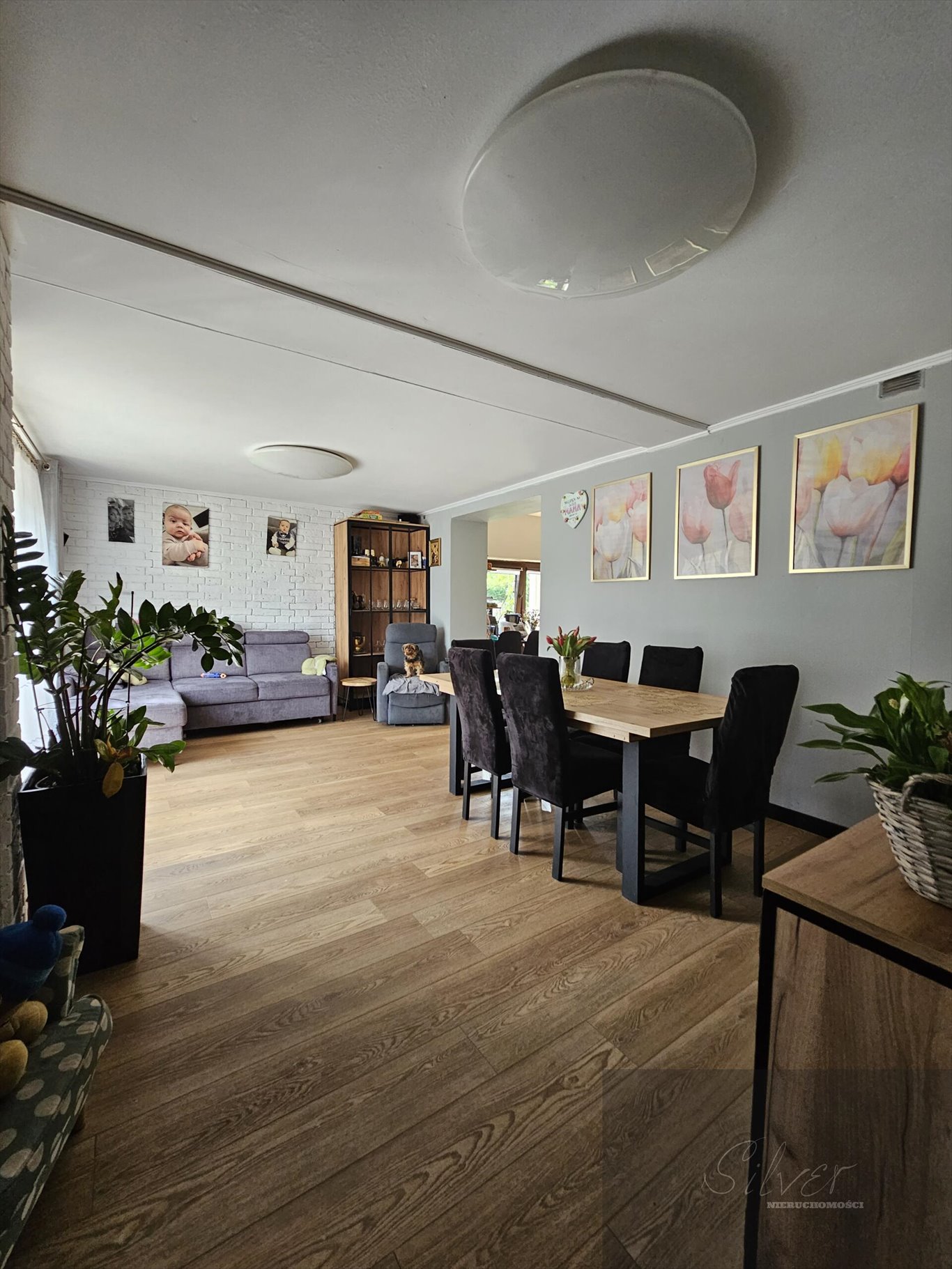 Dom 180 m2 z ogrodem w Plecewicach — komfort i spokój Plecewice  180m2 Foto 1
