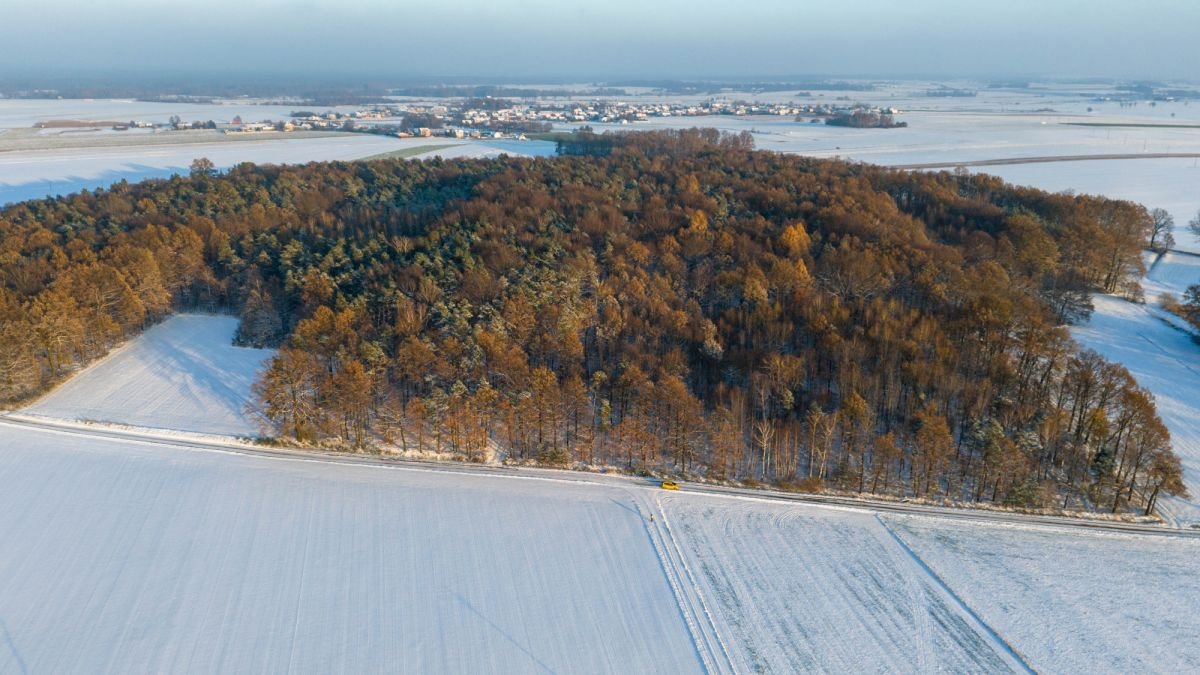 Działka leśna na sprzedaż Łagiewniki Wielkie  9 344m2 Foto 9