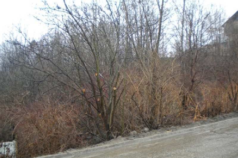 Działka budowlana na sprzedaż Chorzów 2 382m2 Foto 1 Działka budowlana na sprzedaż Chorzów 2 382m2 Foto 1
