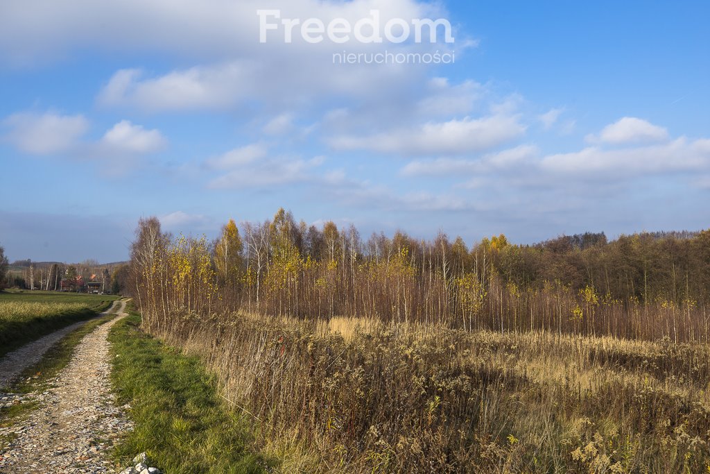 Działka budowlana na sprzedaż Rzeszów, Przybyszówka Górna, Leśne Wzgórze  3 585m2 Foto 8