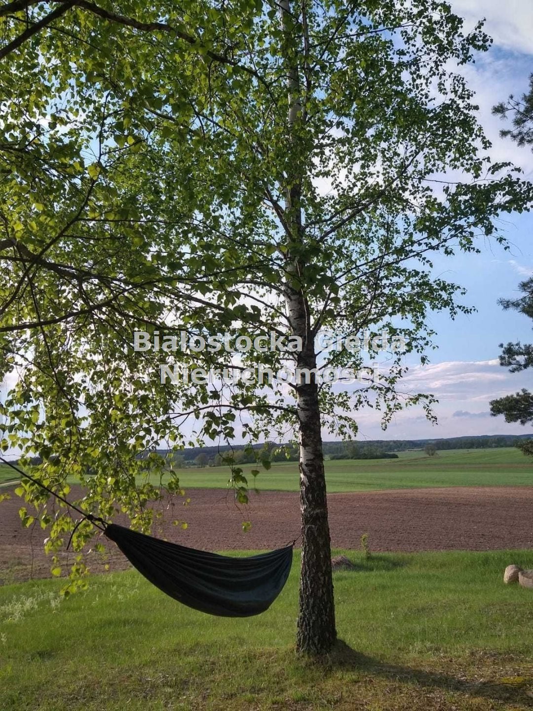 Działka budowlana na sprzedaż Ozierany Małe  13 796m2 Foto 5