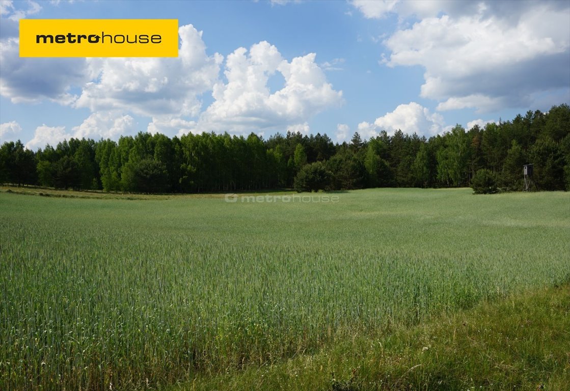 Działka inna na sprzedaż Trzebciny  1 448m2 Foto 1