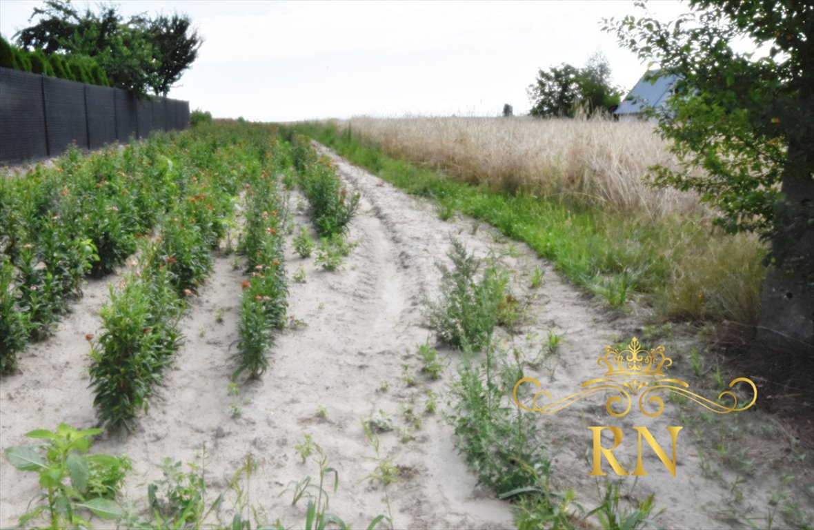 Działka budowlana na sprzedaż Nowa Wola  1 800m2 Foto 1