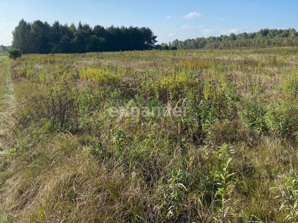 Działka inwestycyjna na sprzedaż Czarna Wieś  30 556m2 Foto 3