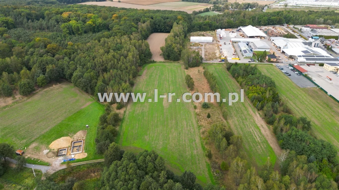 Działka przemysłowo-handlowa na sprzedaż Czyżowice  8 094m2 Foto 2