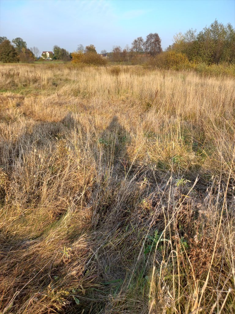 Działka rekreacyjna na sprzedaż Zatory, burlaki, polna  1 000m2 Foto 5