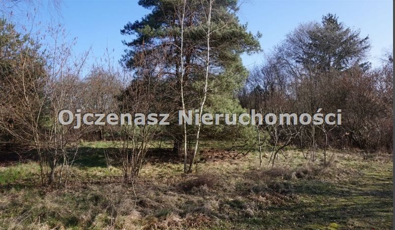 Działka budowlana na sprzedaż Niemcz  7 037m2 Foto 9