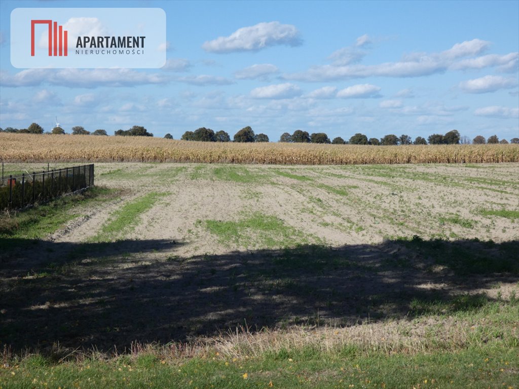 Działka budowlana na sprzedaż Żnin  900m2 Foto 5