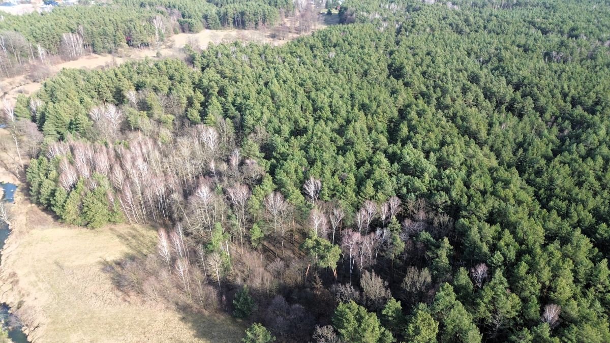 Lokal użytkowy na sprzedaż Tartak  52 600m2 Foto 31