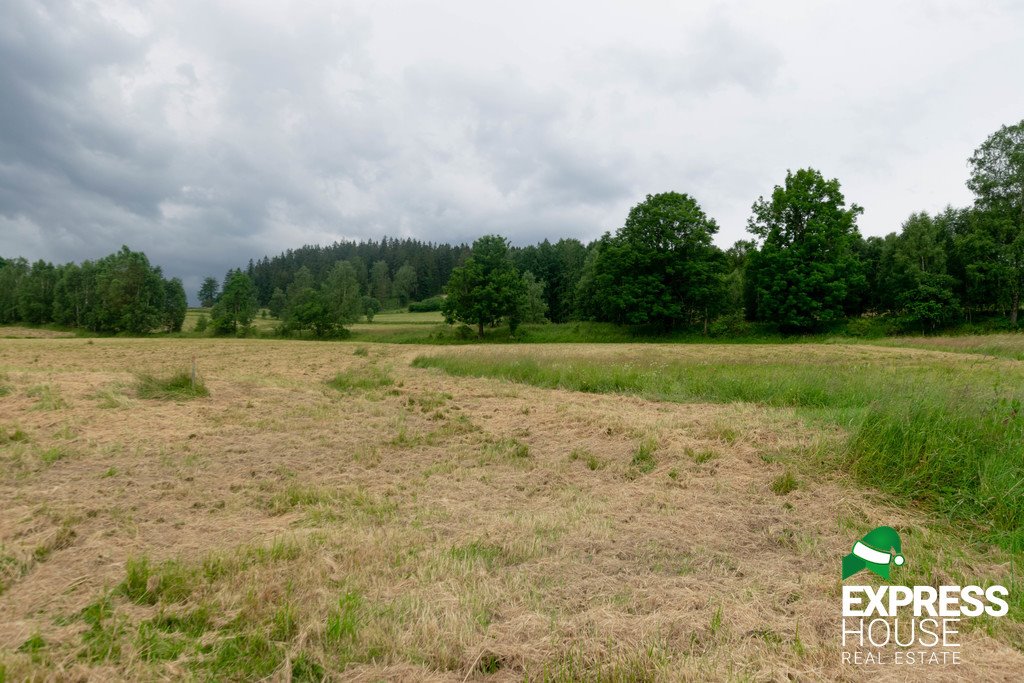 Działka budowlana na sprzedaż Stronie Śląskie, Polna  2 617m2 Foto 2