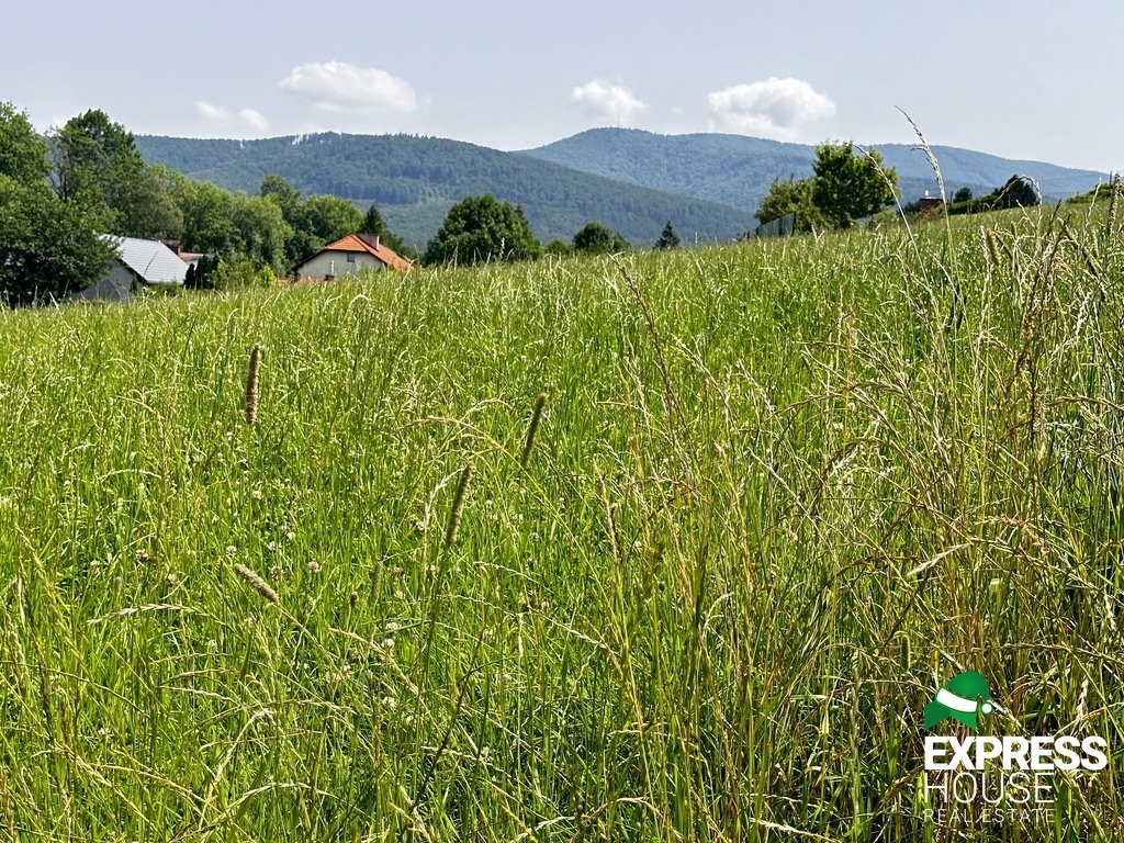 Działka budowlana na sprzedaż Jaworze, Ustronna  1 069m2 Foto 1