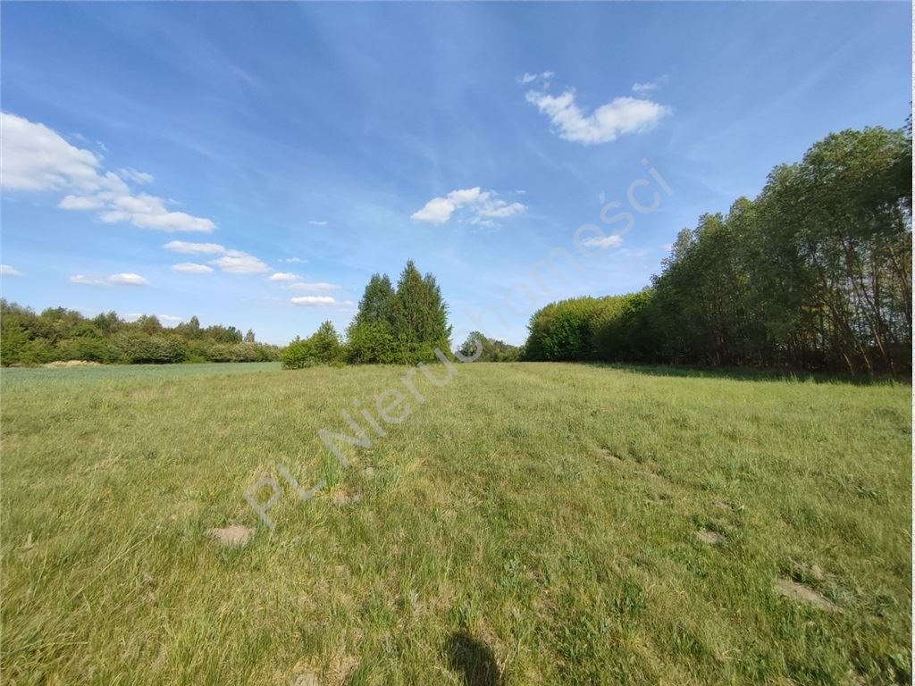 Do sprzedania działka 30 152 m² z możliwością zabudowy i usług Żabia Wola  30 152m2 Foto 1