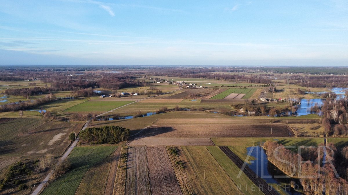 Działka budowlana na sprzedaż Grądy Szlacheckie  9 800m2 Foto 11