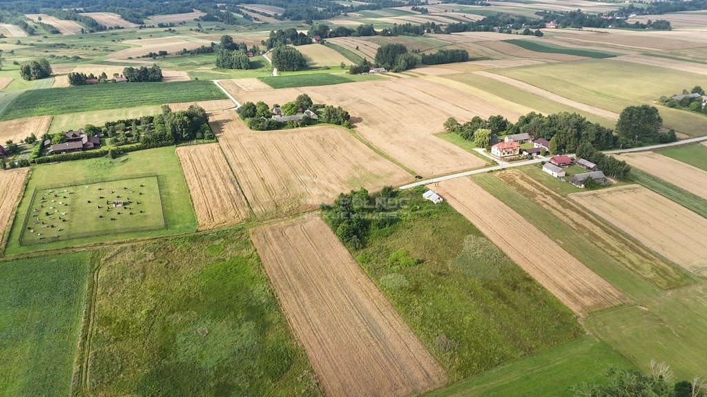 Działka siedliskowa na sprzedaż Boża Wola  9 100m2 Foto 9