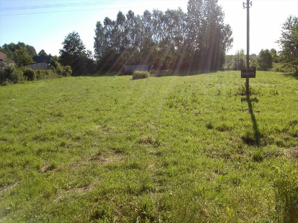 Działka budowlana na sprzedaż Nowa Bukówka, ul.Rumiankowa 65 3 000m2 Foto 1 Działka budowlana na sprzedaż Nowa Bukówka, ul.Rumiankowa 65 3 000m2 Foto 1