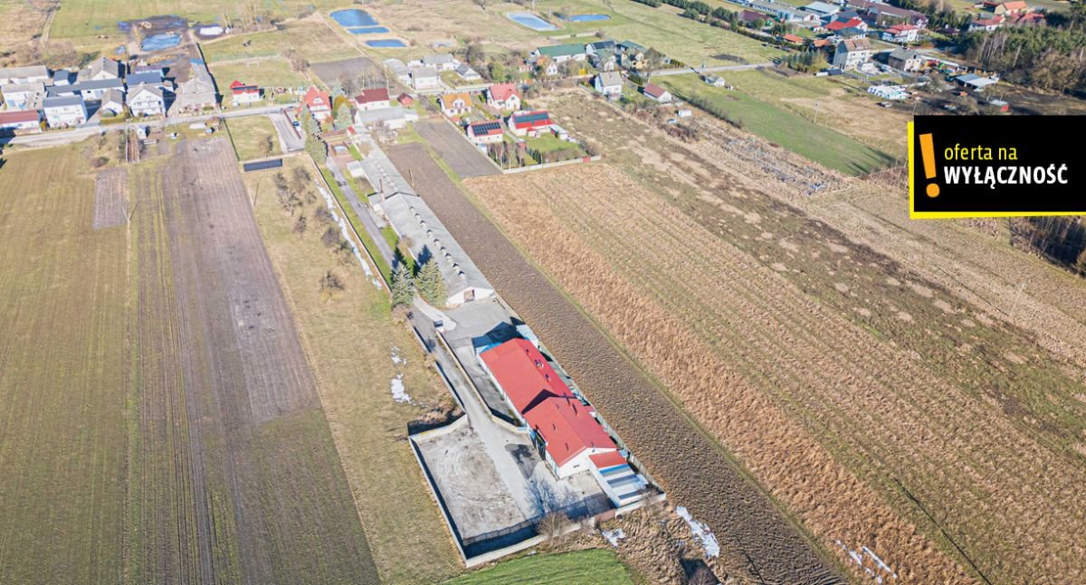 Ubojnia drobiu 500 m² z możliwością rozwoju i wynajmu Ujny  500m2 Foto 1