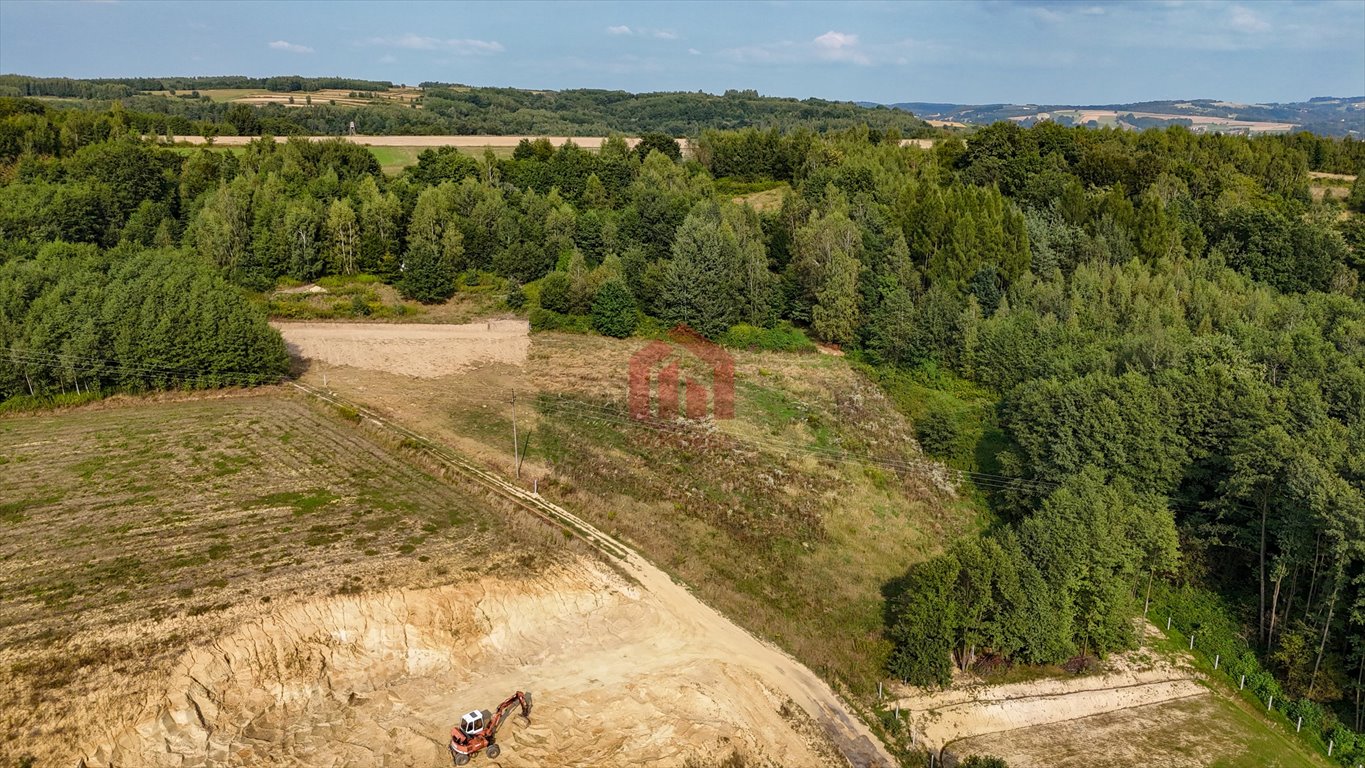 Działka budowlana na sprzedaż Niedźwiada  2 480m2 Foto 4