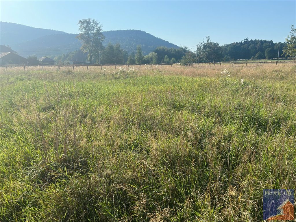 Działka budowlana na sprzedaż Słopnice  903m2 Foto 3