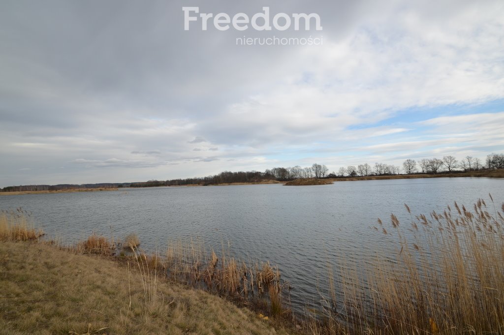 Działka inwestycyjna na sprzedaż Brzeziny  520 000m2 Foto 16