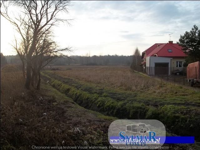 Działka budowlana na sprzedaż Chojnów  10 200m2 Foto 4