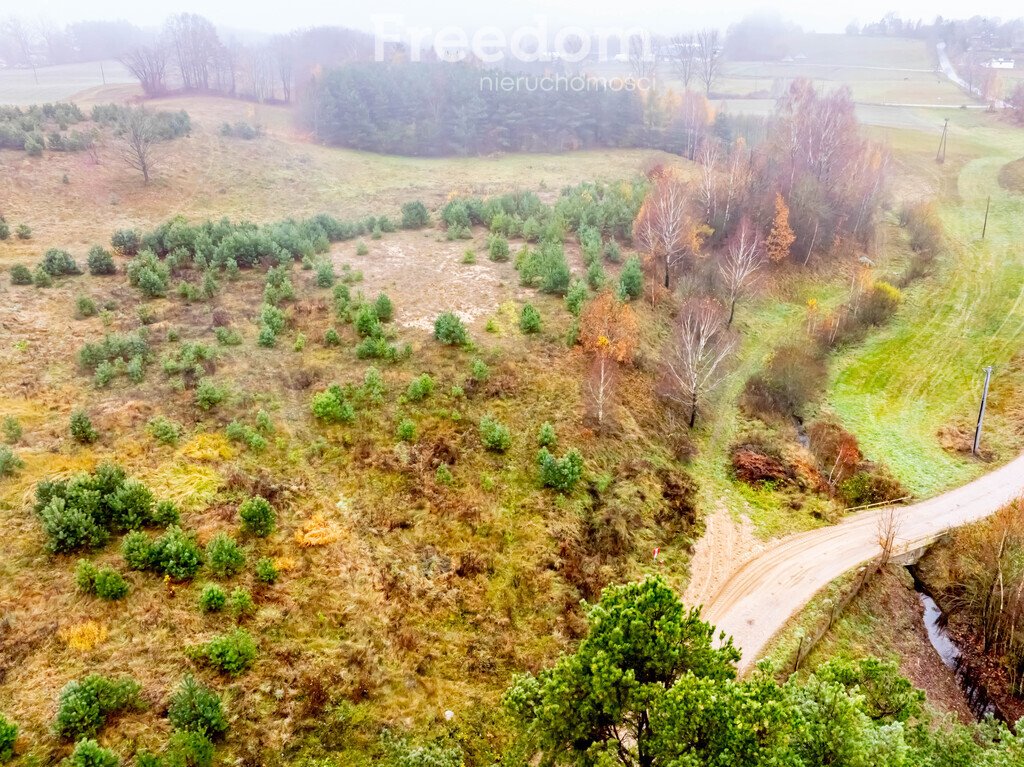 Działka budowlana na sprzedaż Czarna Huta, Szara  15 200m2 Foto 8