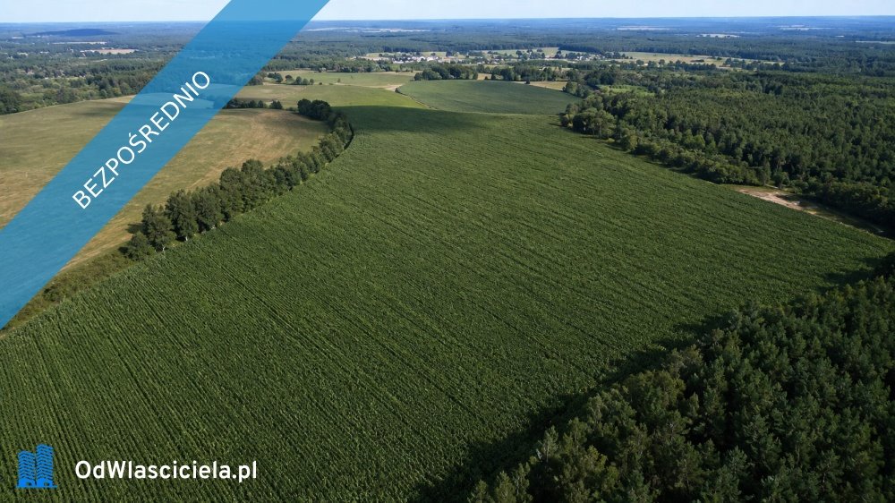 Duży kompleks gruntów rolnych 92 ha z dostępem z dwóch stron. Koźla  925 000m2 Foto 1