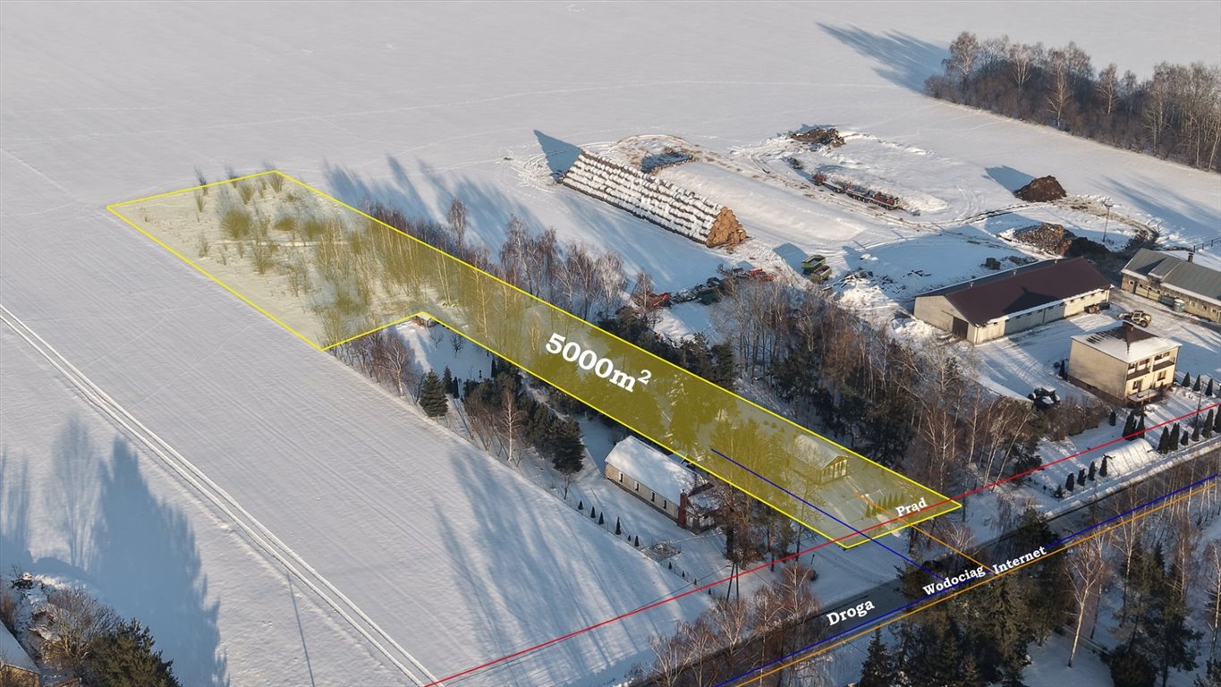 Urokliwa działka 5000 m² z domkiem i dostępem do mediów Cholewy  5 000m2 Foto 1