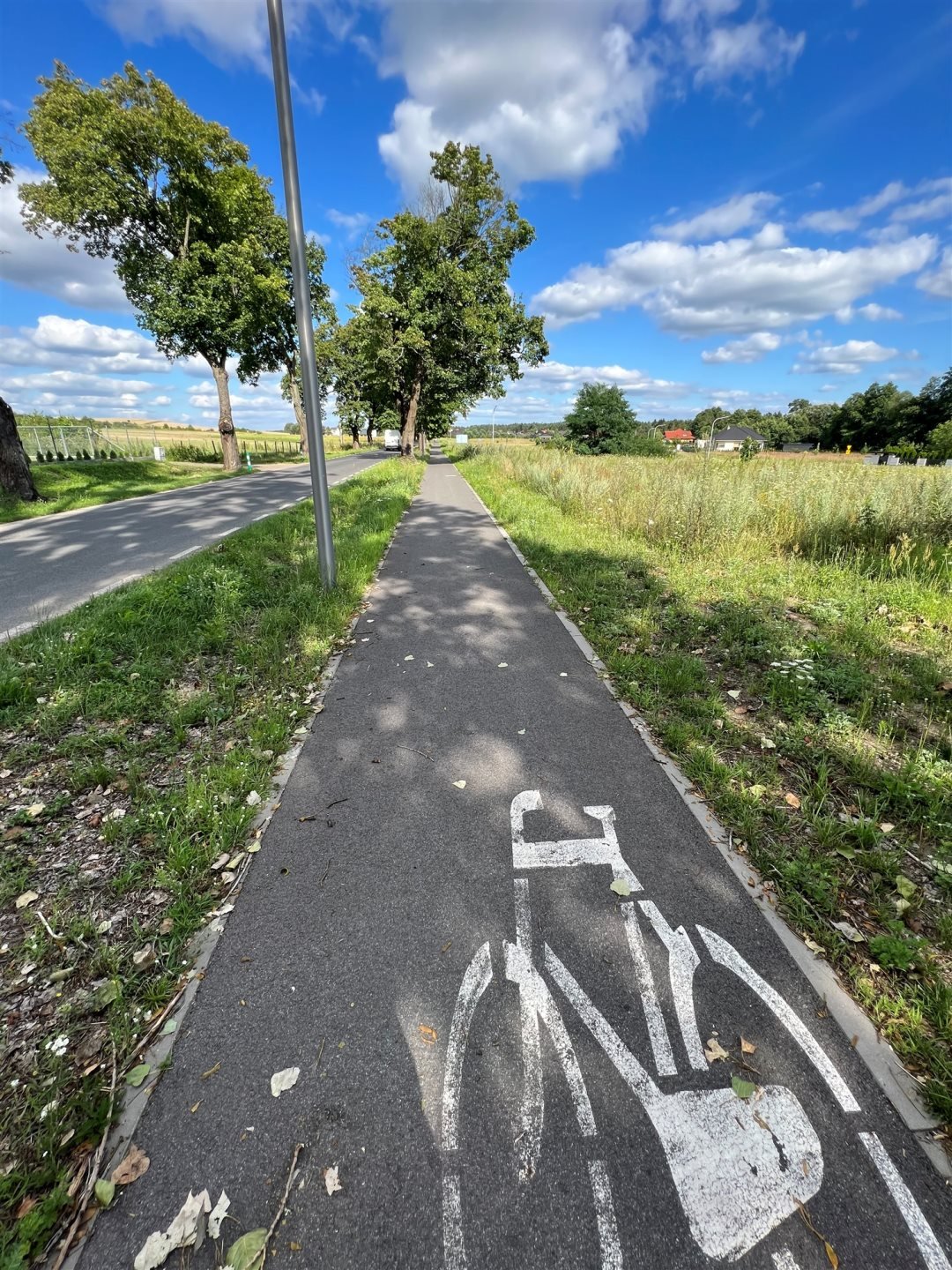 Działka budowlana na sprzedaż Kotuń  1 144m2 Foto 8