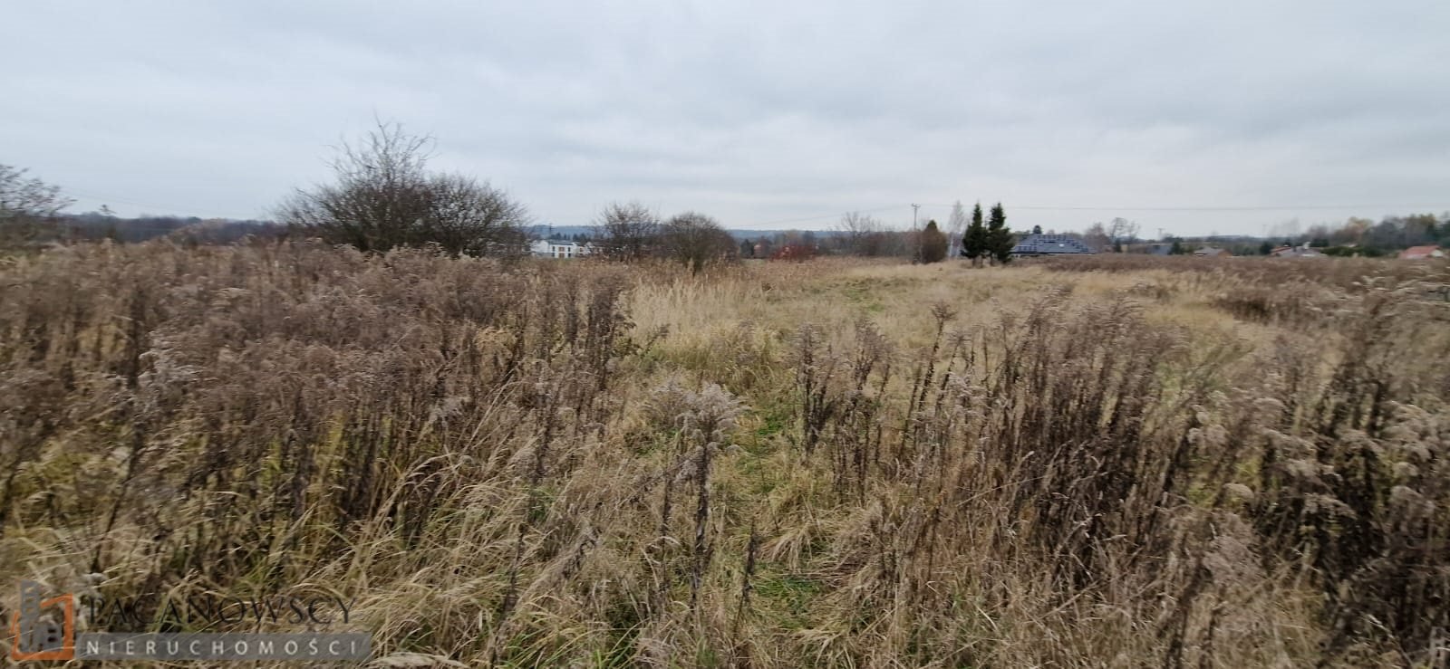 Działka budowlana na sprzedaż Bolechowice  4 400m2 Foto 4