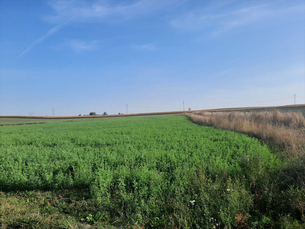 Działka rolna na sprzedaż Głogowo  1 532m2 Foto 1