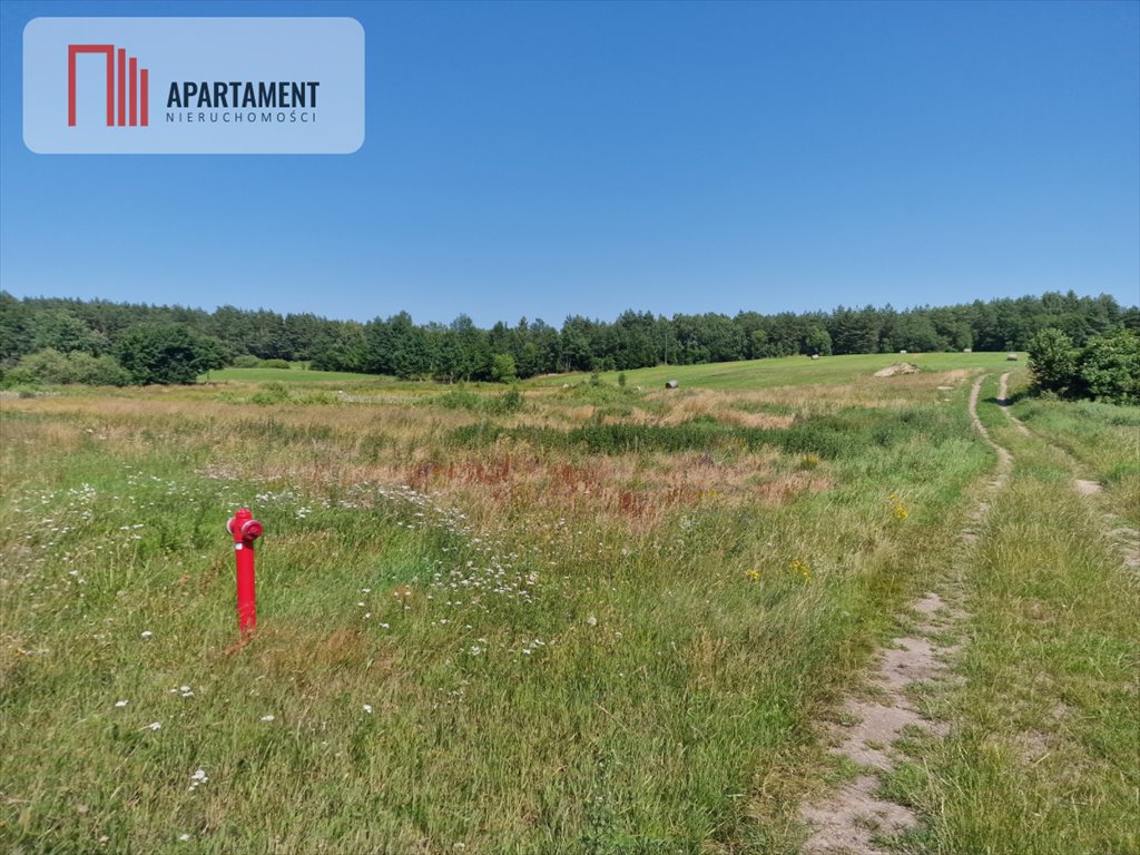 Duża działka 8308 m² z warunkami zabudowy w Roztoce. Roztoka  8 308m2 Foto 1