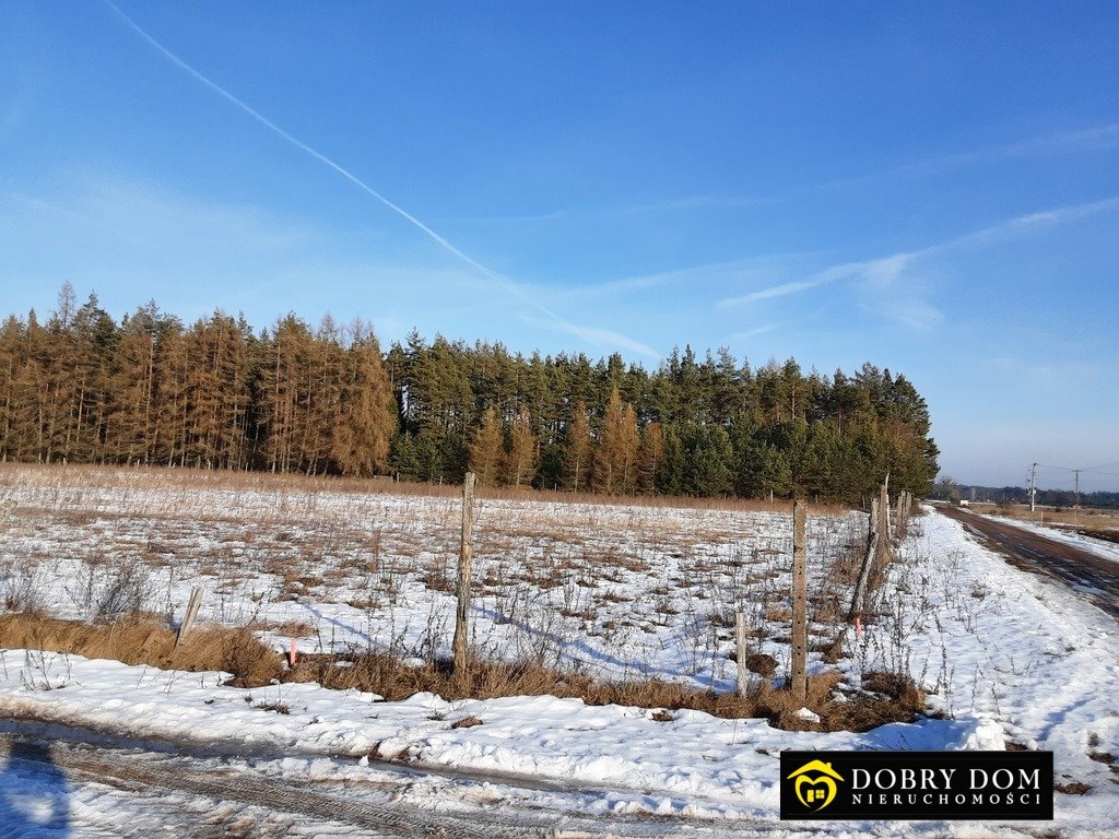 Działka budowlana na sprzedaż Serski Las  1 200m2 Foto 16