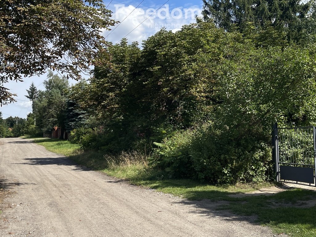 Zdjęcie 3