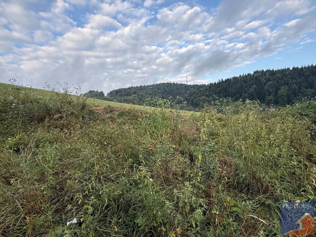 Działka 18 100 m² w Laskowej (z możliwością zalesienia) Laskowa  18 100m2 Foto 1