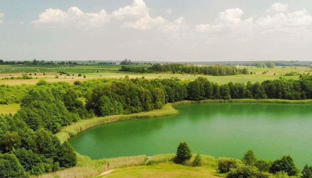 Działka rolna na sprzedaż Nawiady  1 824m2 Foto 1