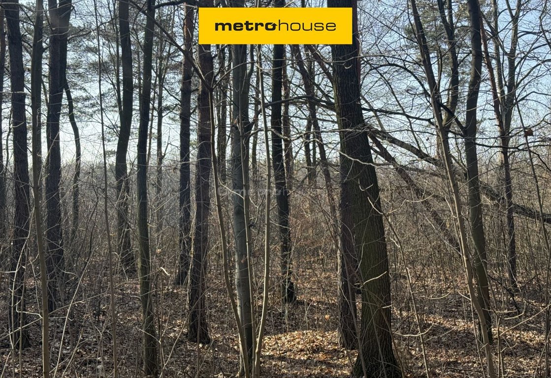 Spokojna działka 10 894 m² z możliwością własnej aranżacji Rzerzęczyce, Wolności  10 894m2 Foto 1