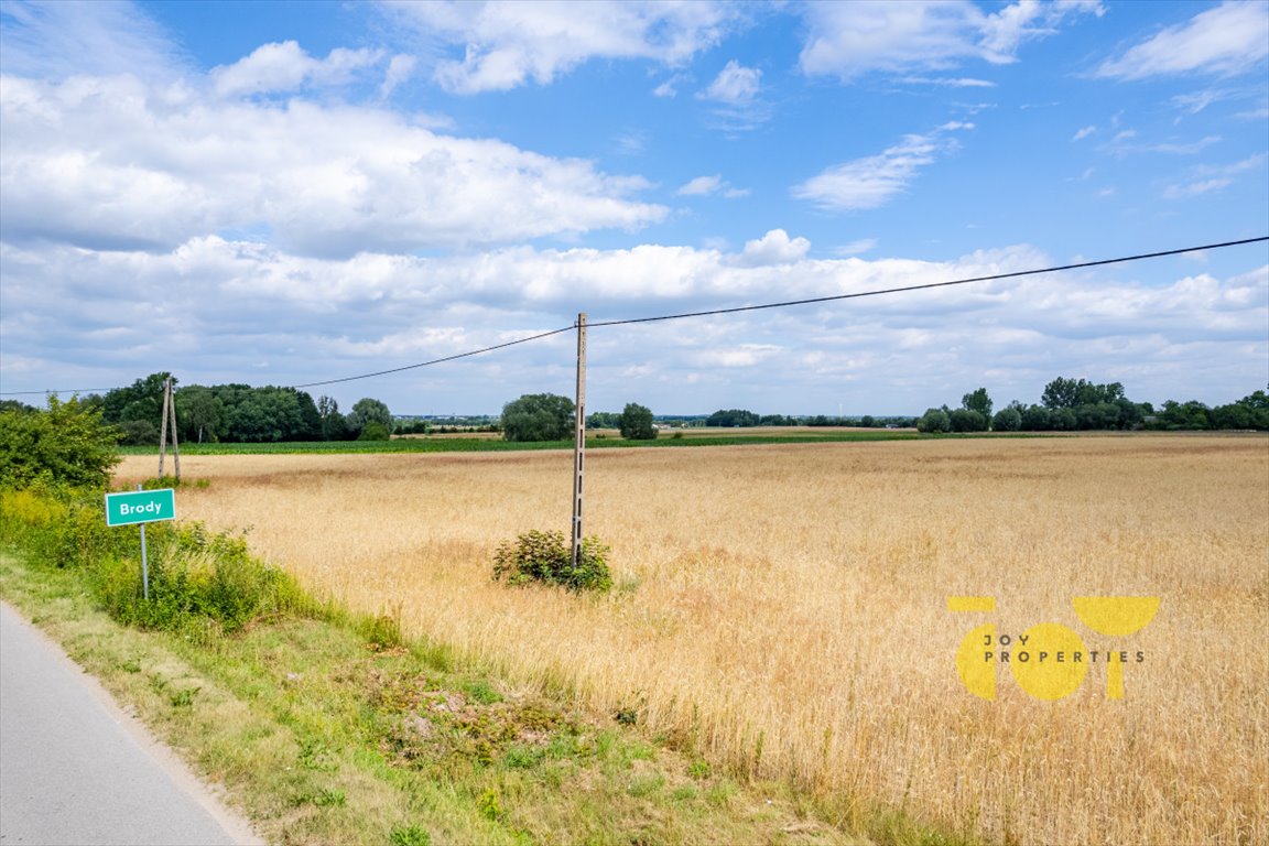 Działka inwestycyjna na sprzedaż Brody, Kwiatowa  12 500m2 Foto 2